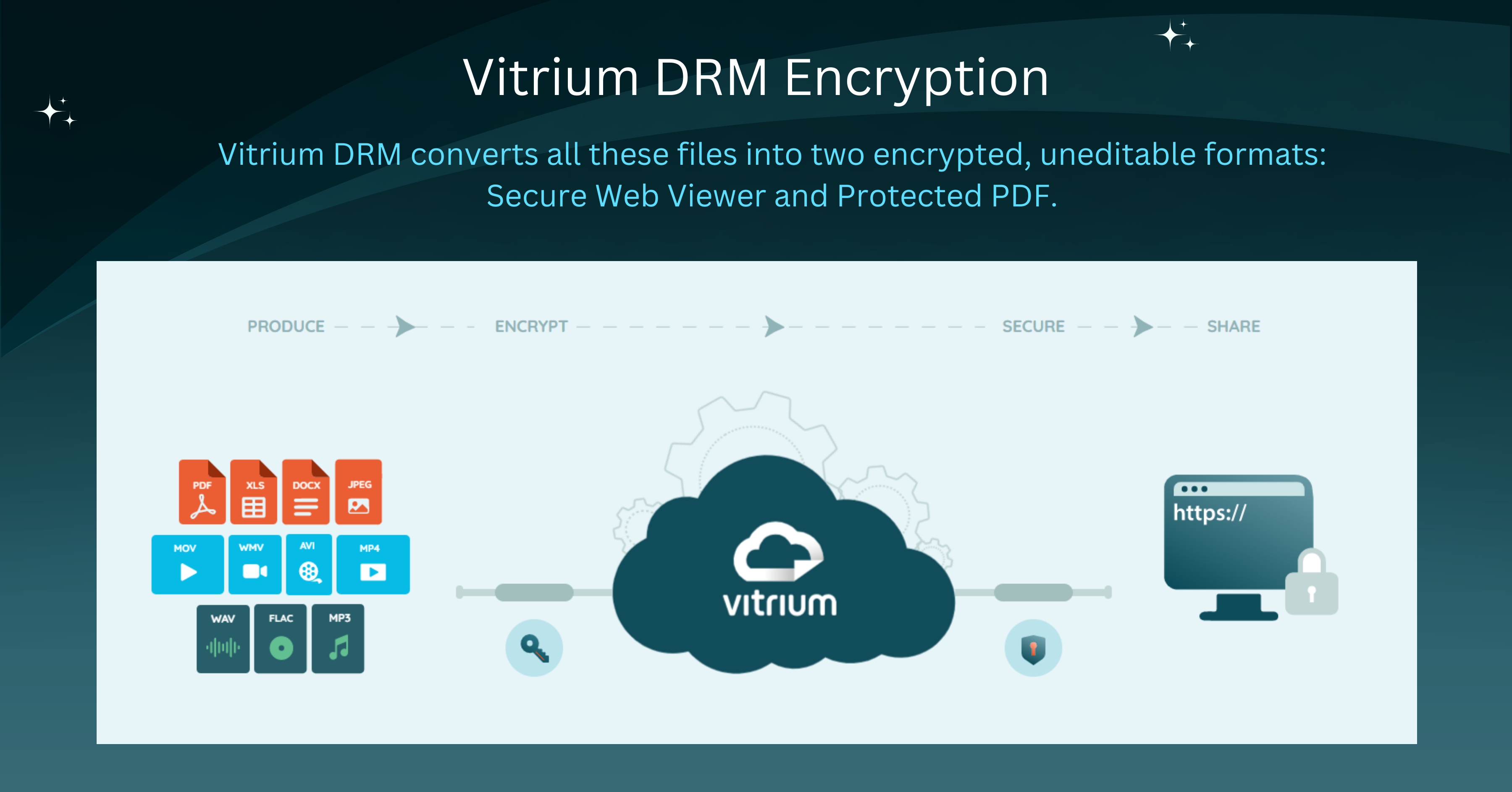 screenshot of Vitrium Security